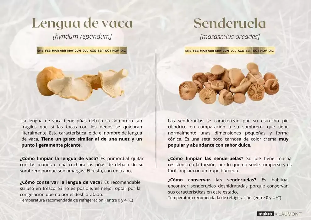 Catálogo de GUIA DE TRUFAS Y SETAS MAKRO - MAKRO 31 de diciembre al 14 de enero 2025 - Página 10