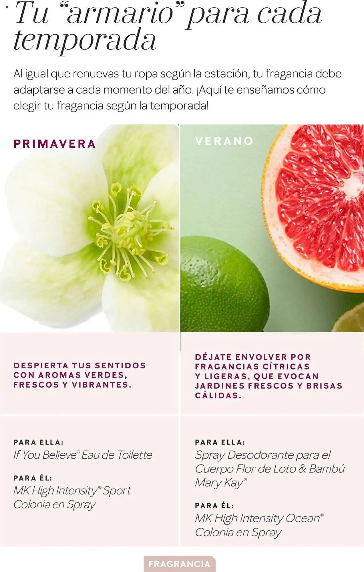 Catálogo de Folleto Mary Kay 11 de febrero al 30 de junio 2025 - Página 6