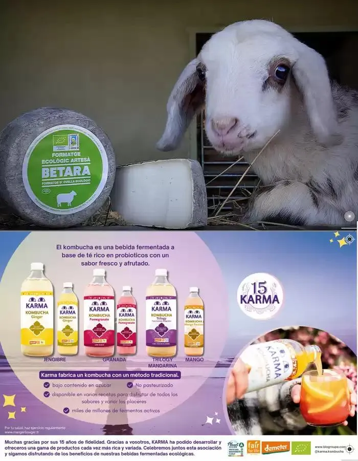 Catálogo de Veritas Abril, 2025 - Castellano 1 de abril al 30 de abril 2025 - Página 20