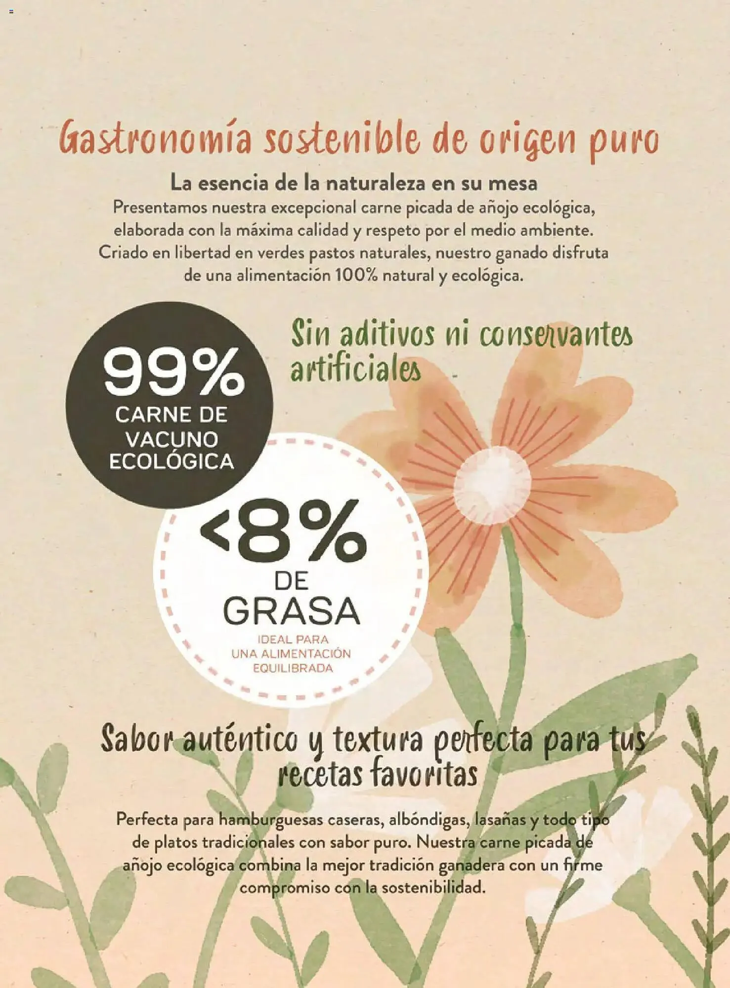 Catálogo de Catálogo Costco 19 de marzo al 31 de mayo 2026 - Página 75