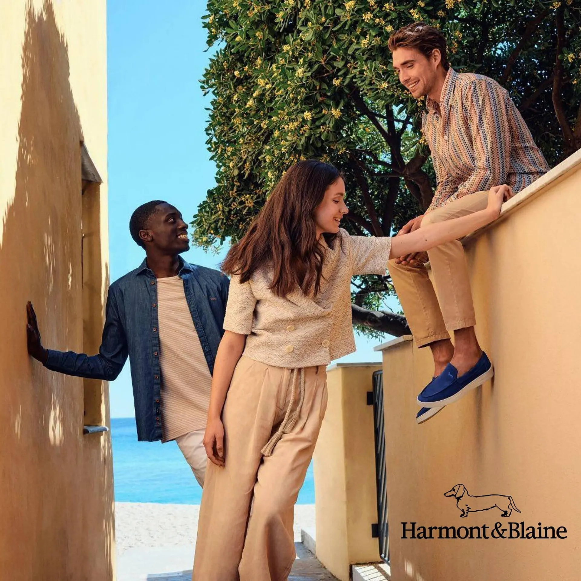 Catálogo de Folleto Harmont & Blaine 10 de agosto al 10 de octubre 2023 - Página 12