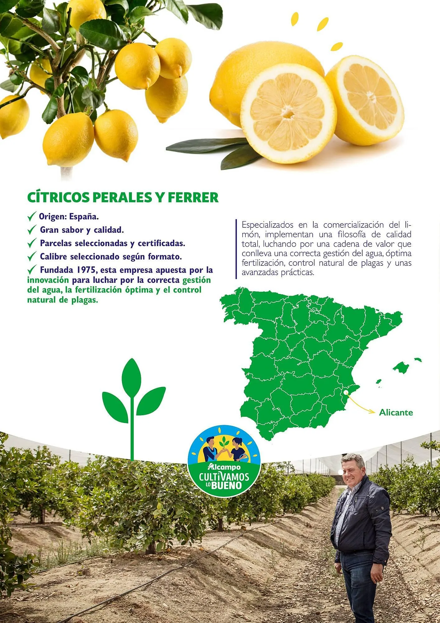 Catálogo de Folleto Alcampo 23 de abril al 31 de diciembre 2025 - Página 20