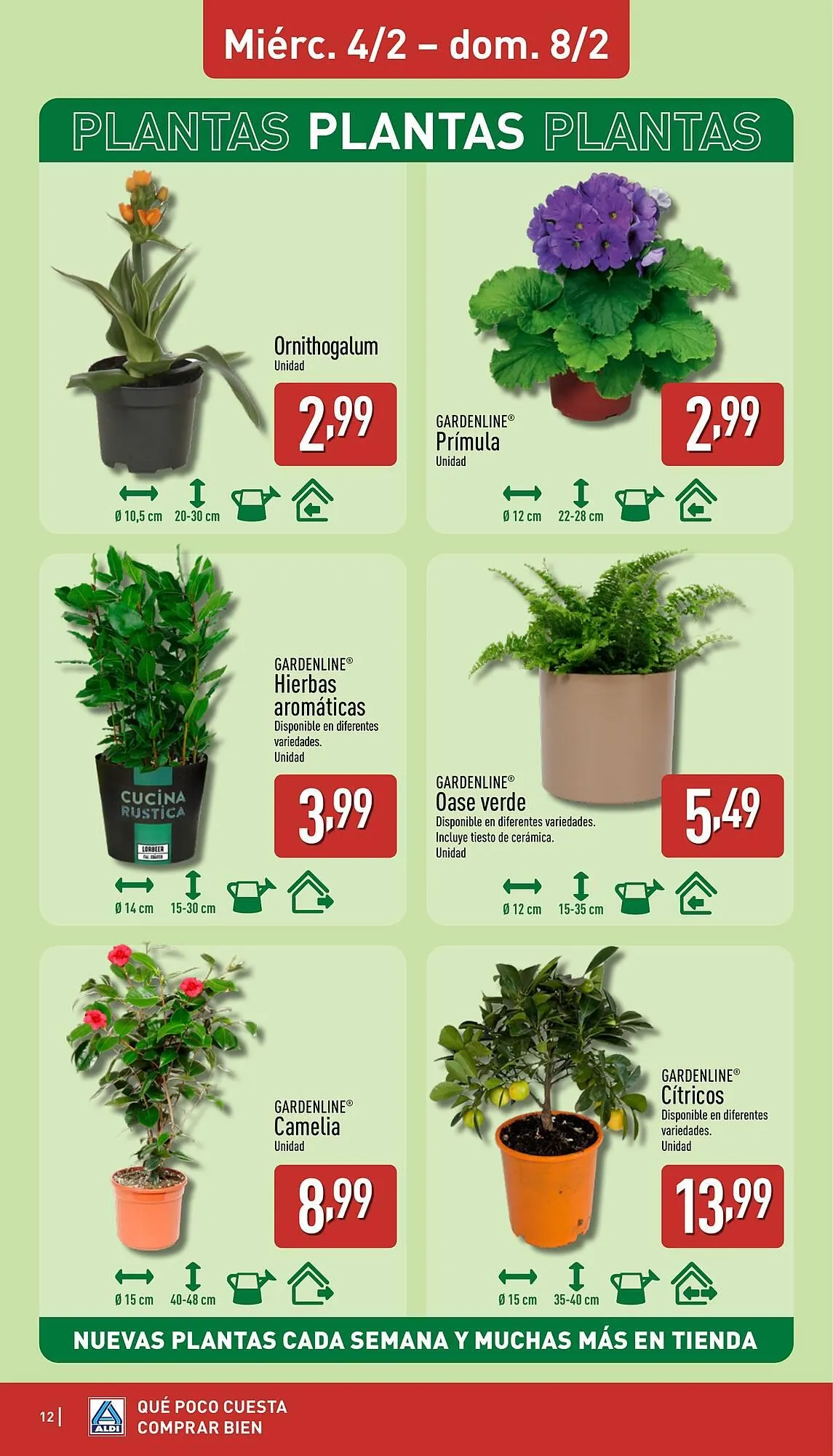 Catálogo de Folleto ALDI 2 de febrero al 8 de febrero 2026 - Página 12