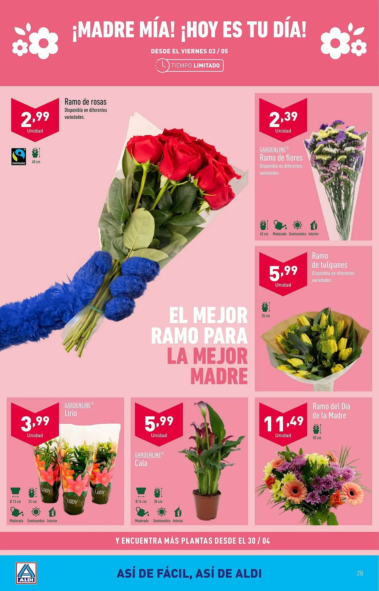 Catálogo de Folleto ALDI 30 de abril al 7 de mayo 2024 - Página 28