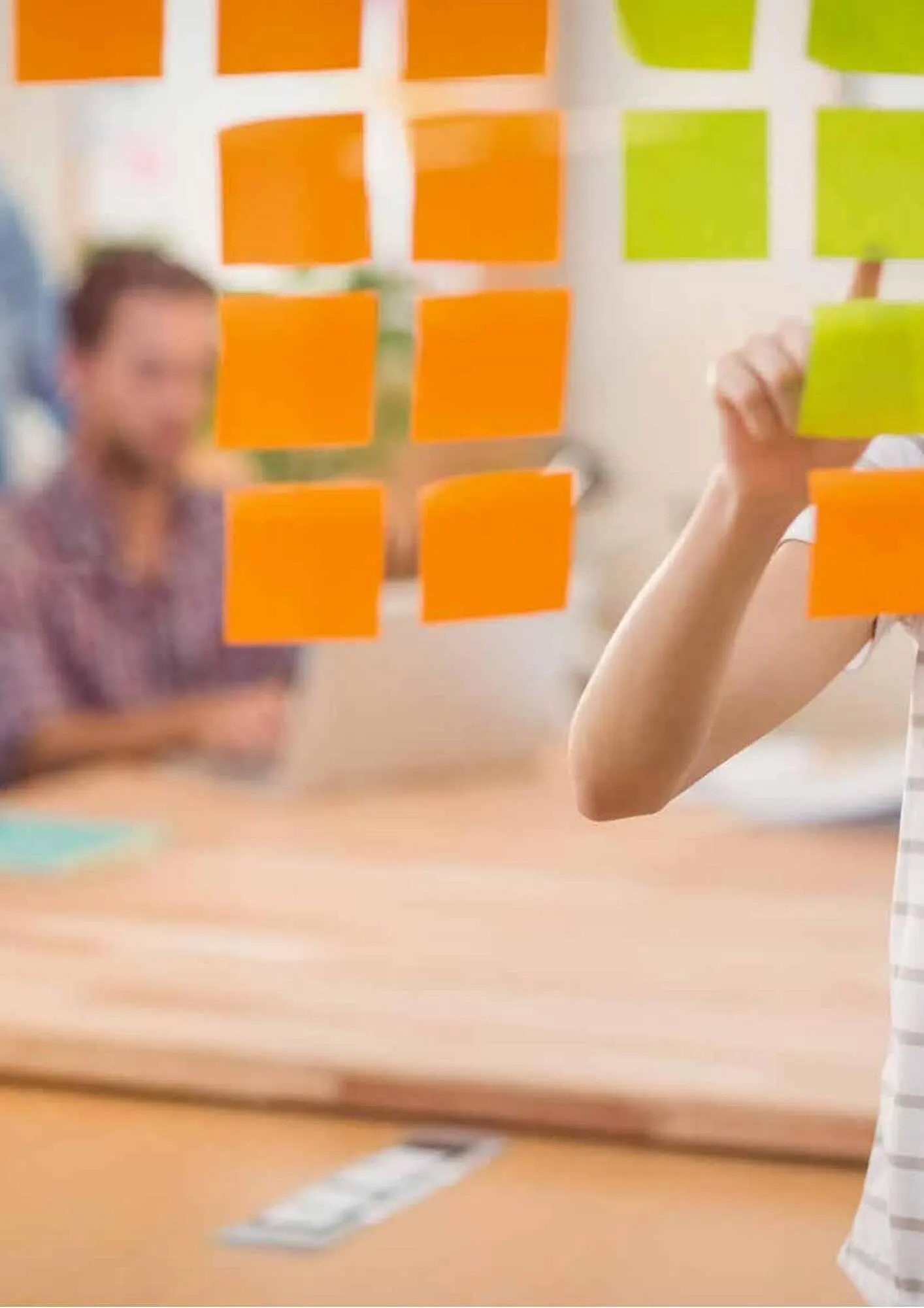 Catálogo de Folleto Abacus 23 de marzo al 31 de enero 2024 - Página 142