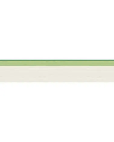 110-10047 JASPE BORDER