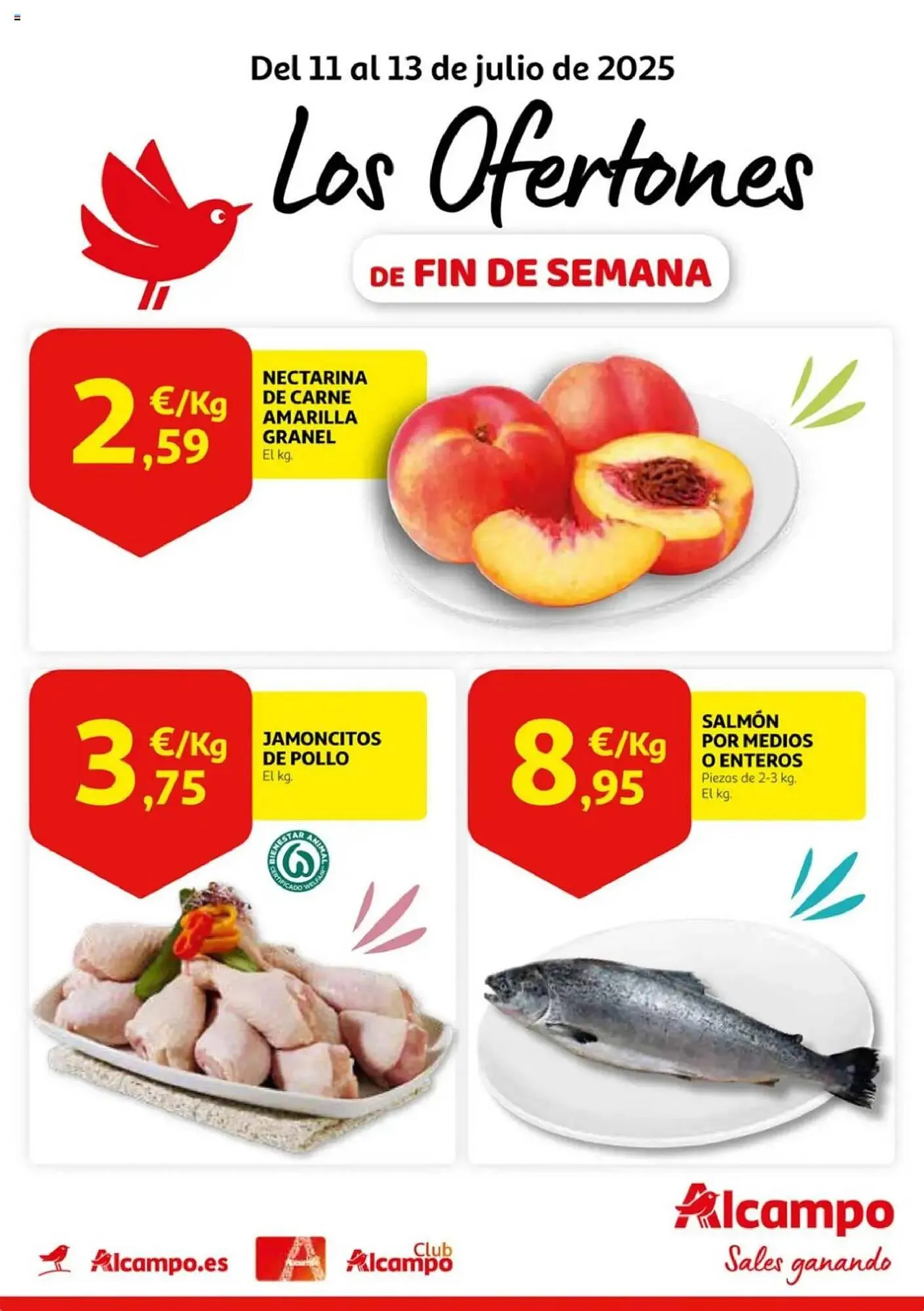 Catálogo de Folleto Alcampo 11 de julio al 13 de julio 2025 - Página 1