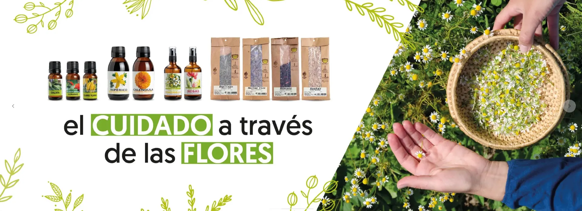 Catálogo de Folleto Herbolario Navarro 27 de marzo al 9 de abril 2025 - Página 2