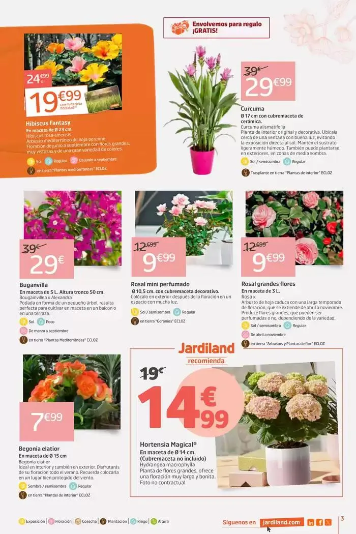 Catálogo de Día de la Madre La Pobla 28 de abril al 4 de mayo 2025 - Página 3