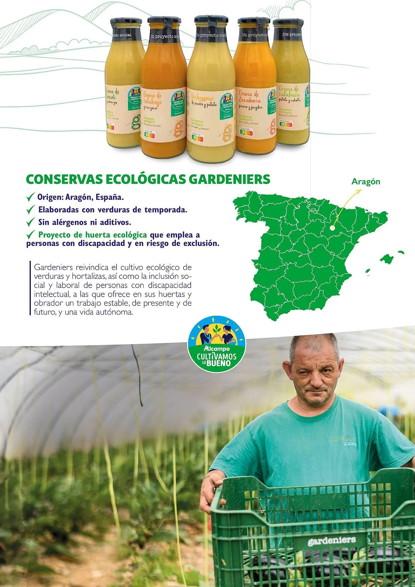 Catálogo de Folleto Alcampo 23 de abril al 31 de diciembre 2025 - Página 43