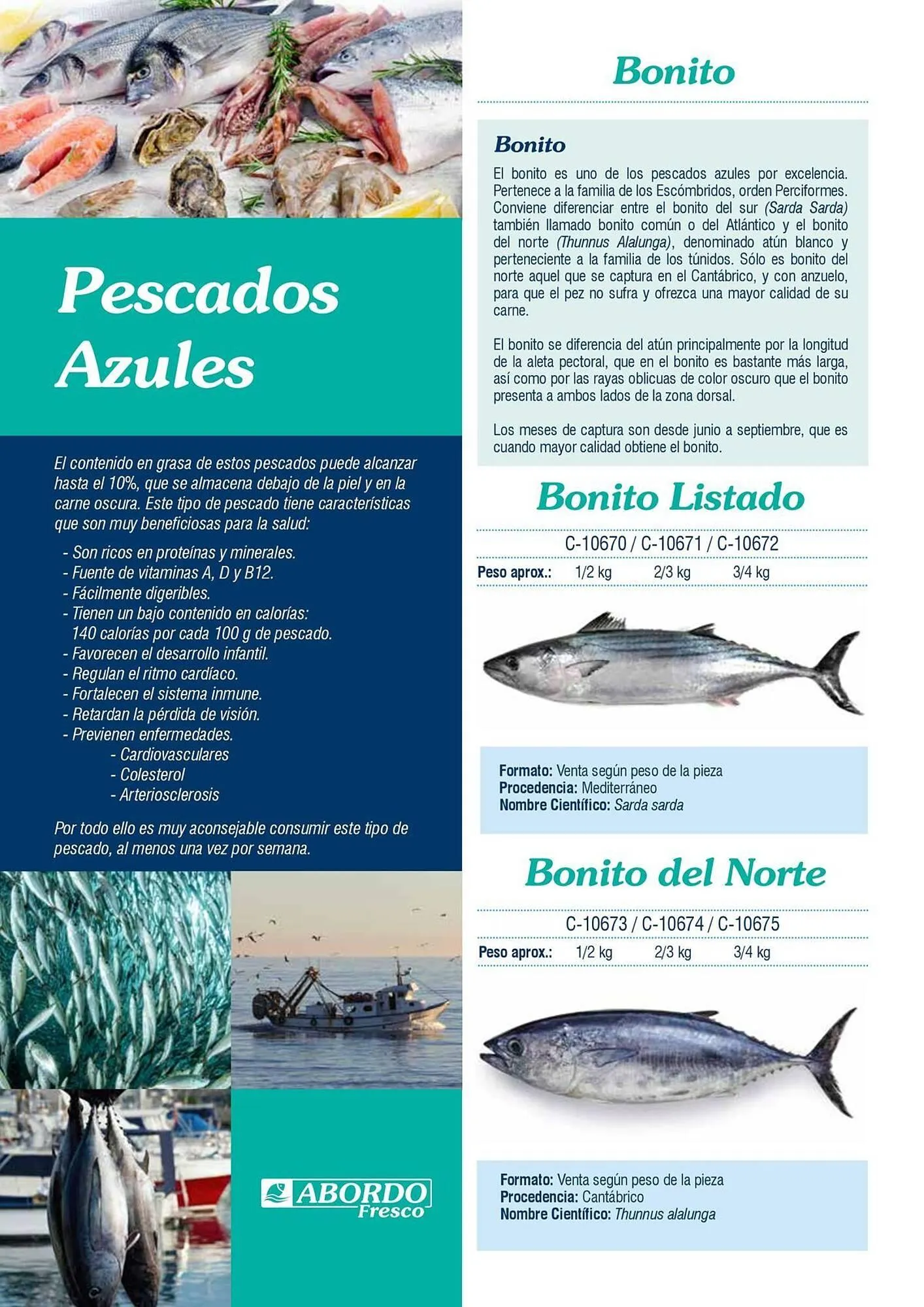 Catálogo de Folleto Abordo 5 de marzo al 30 de junio 2026 - Página 4