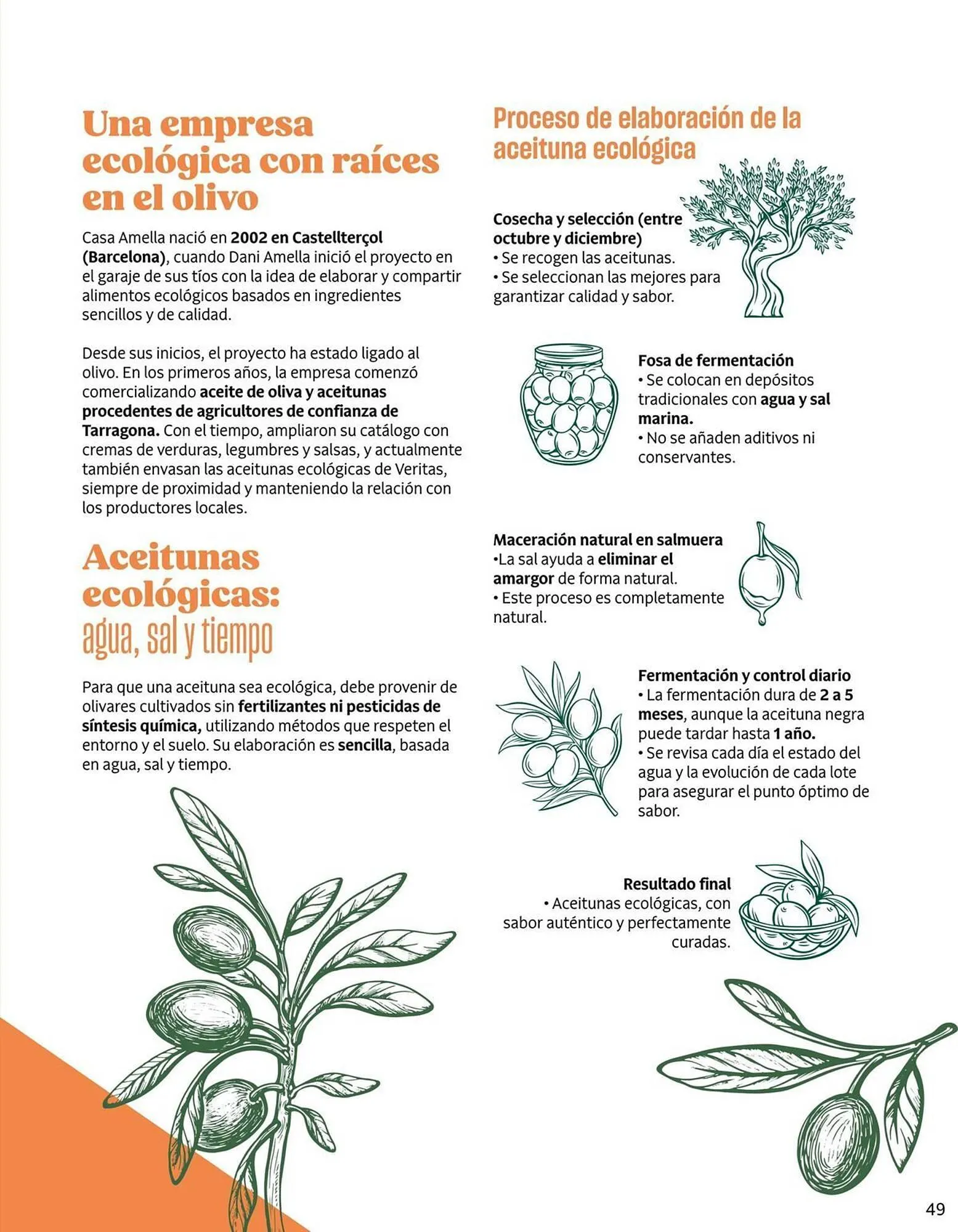 Catálogo de Catálogo Veritas 3 de abril al 30 de junio 2026 - Página 49