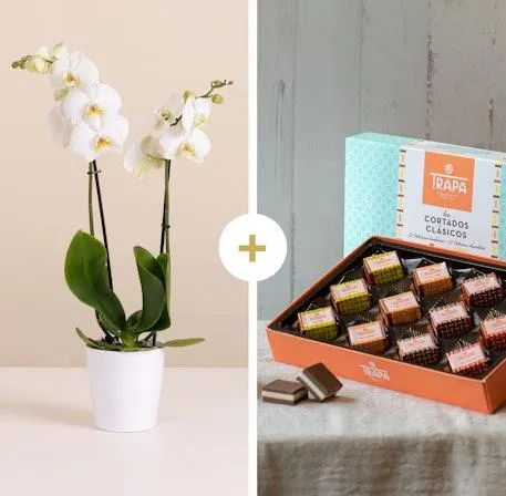 El Regalo Perfecto: Orquídea Blanca y Bombones Trapa