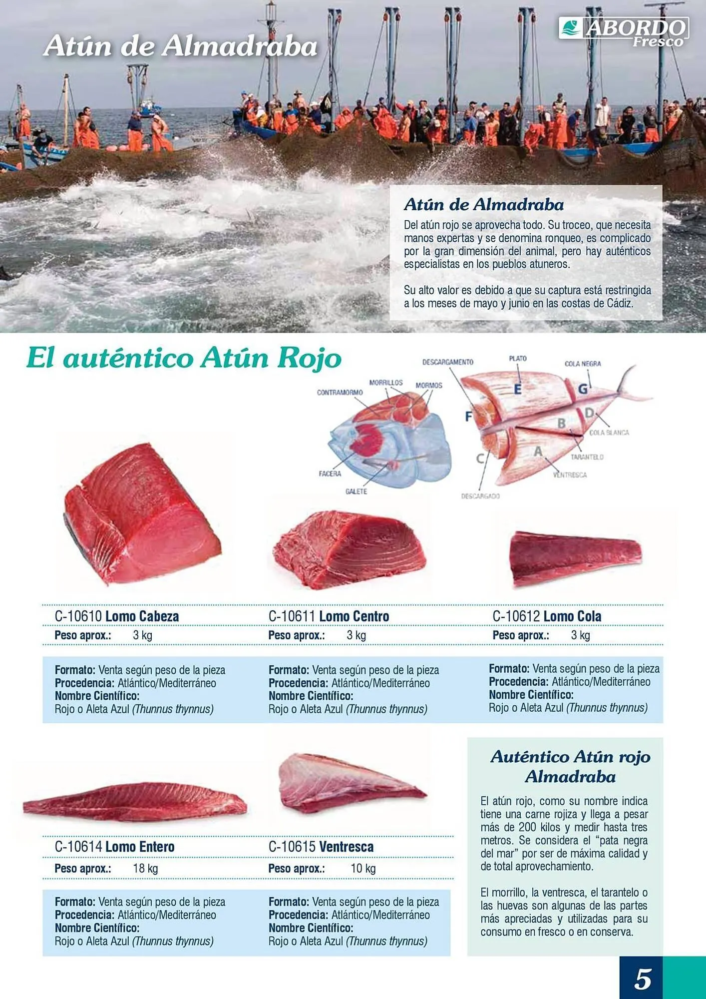 Catálogo de Folleto Abordo 5 de marzo al 30 de junio 2026 - Página 5