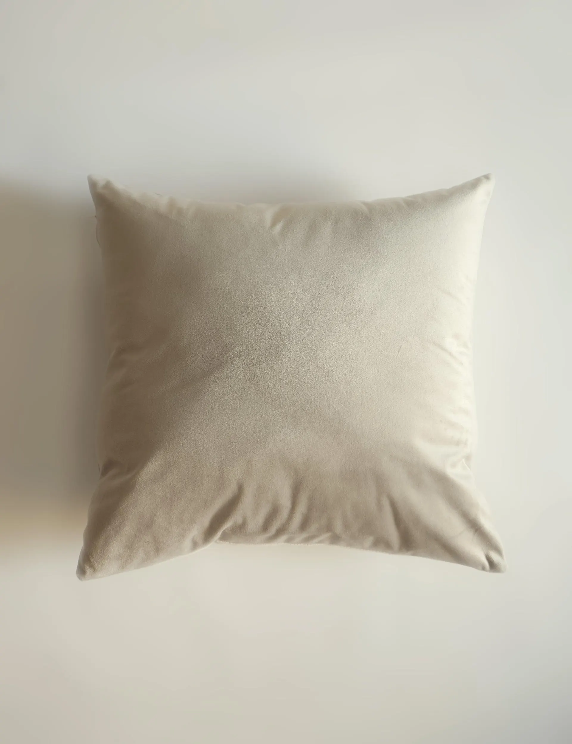 COJÍN AIRE TERCIOPELO