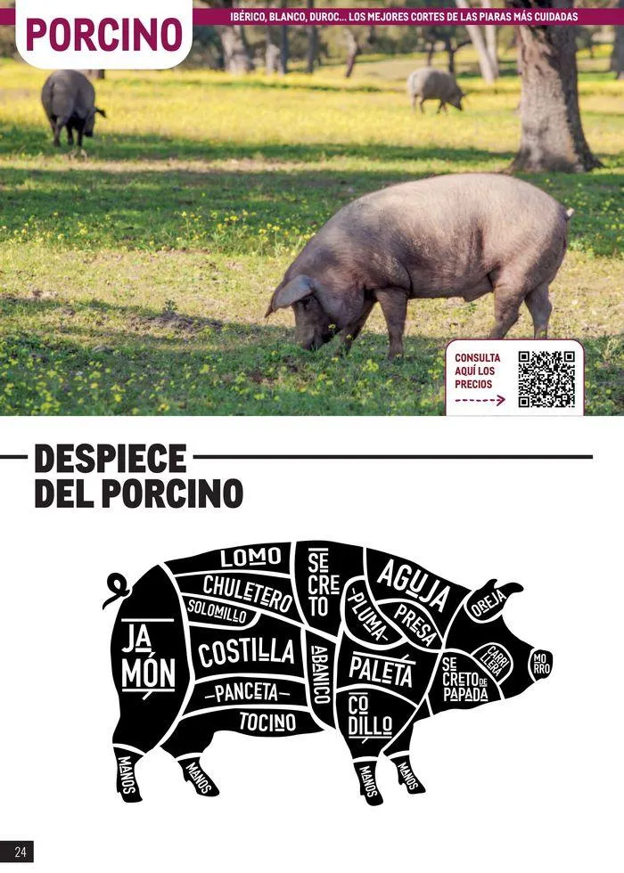 Catálogo de Especial Carnes Península 12 de junio al 31 de diciembre 2024 - Página 24