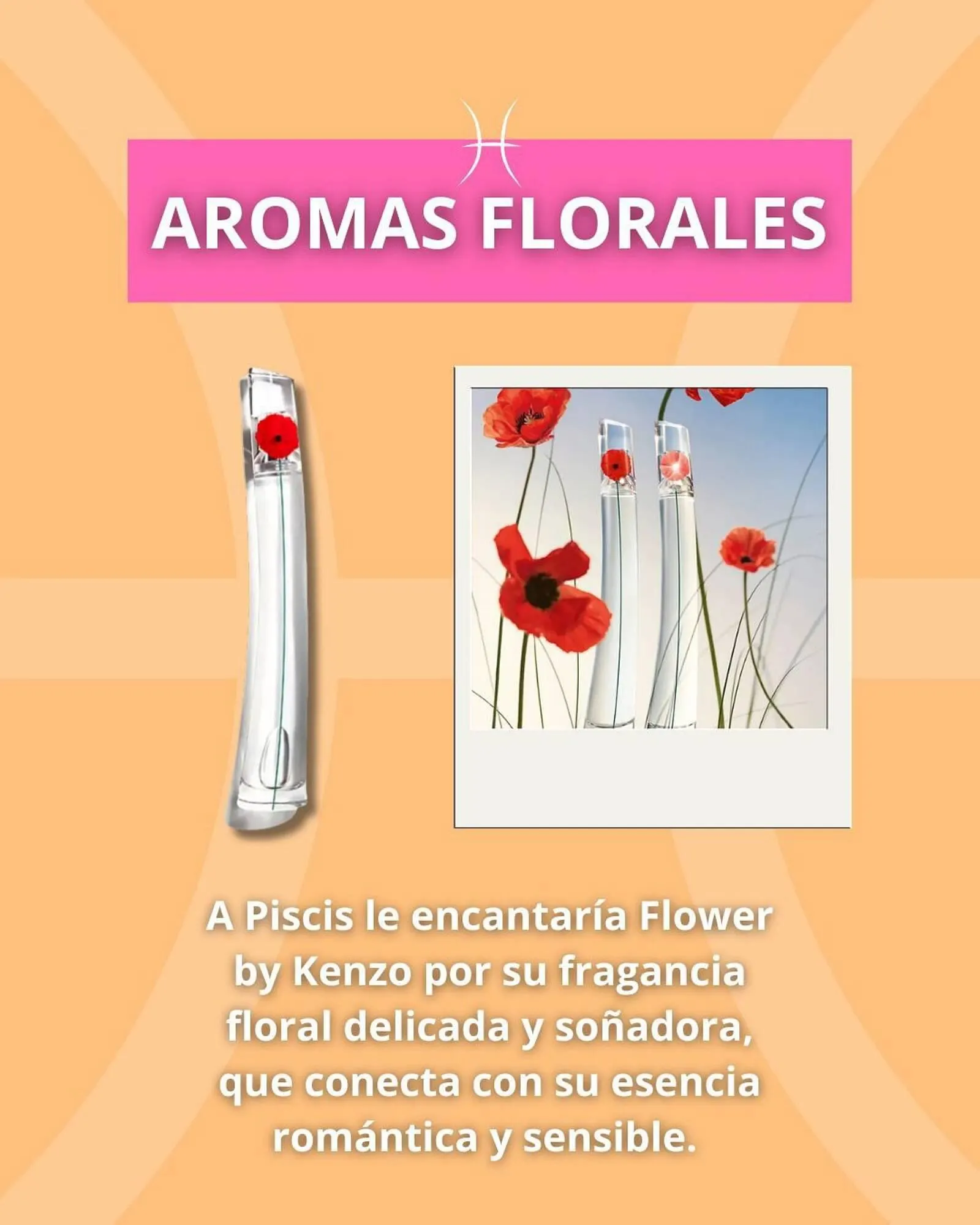 Catálogo de Folleto Perfumeries Facial 20 de febrero al 20 de marzo 2025 - Página 2