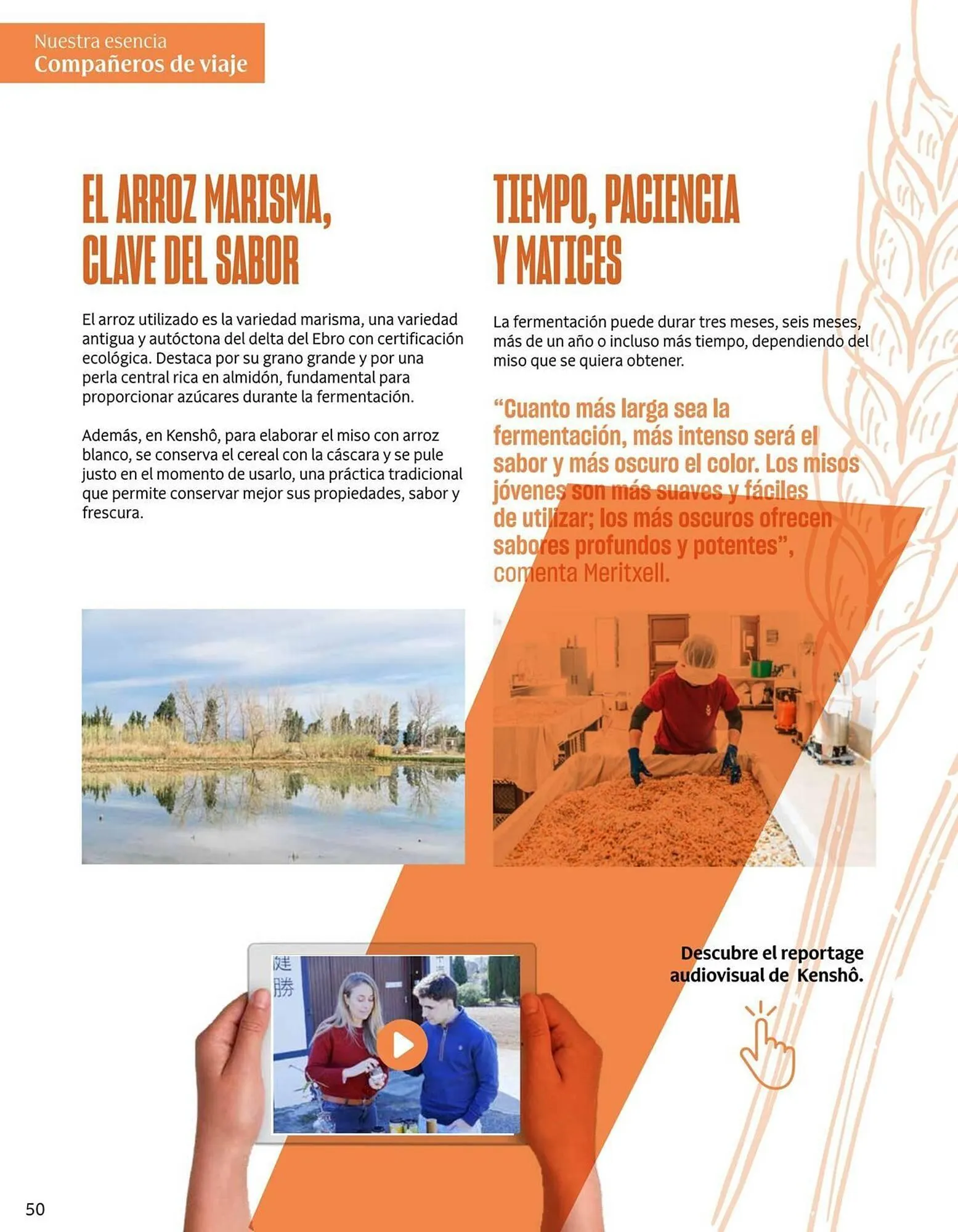 Catálogo de Catálogo Veritas 2 de marzo al 31 de marzo 2026 - Página 50