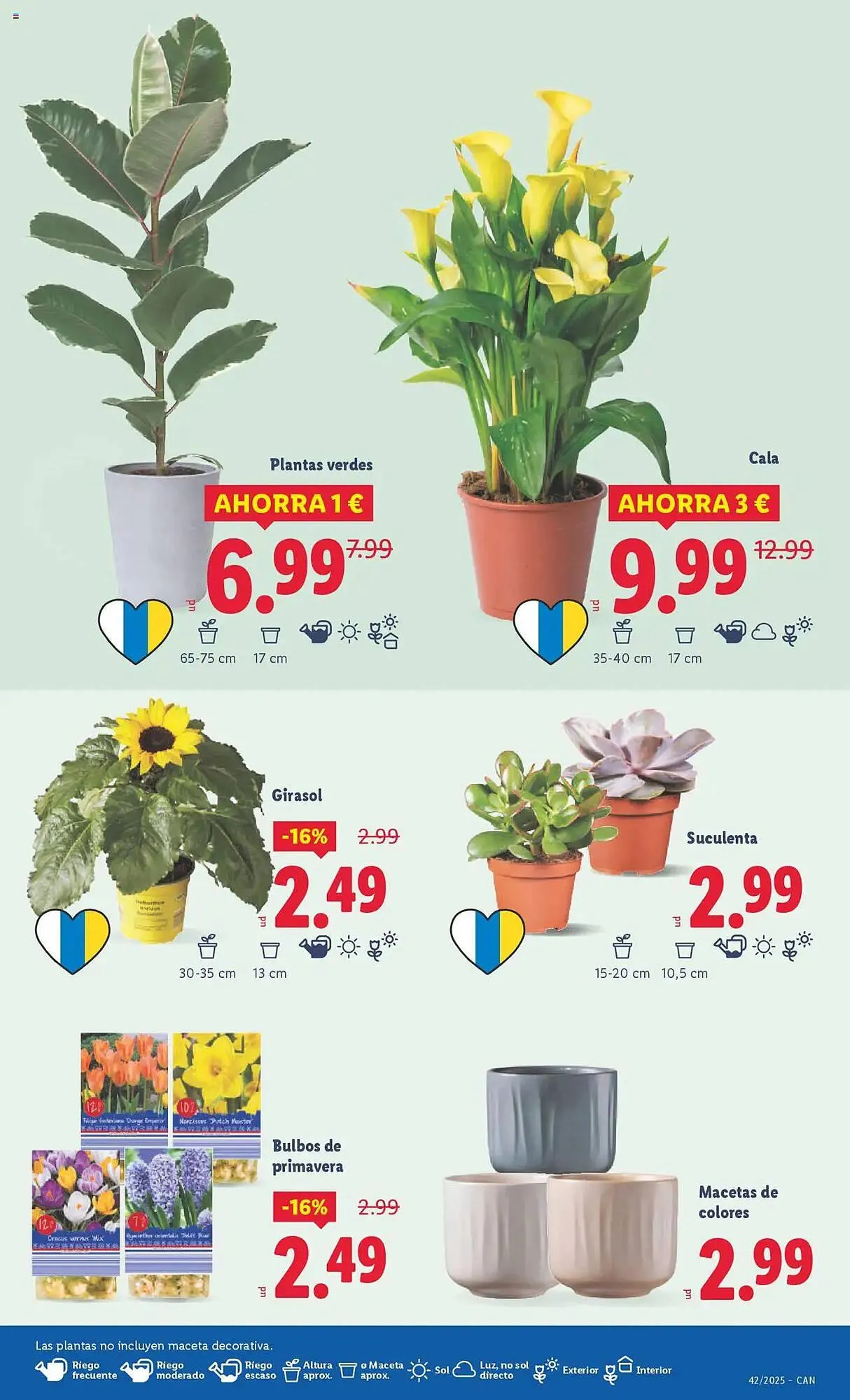 Catálogo de Catálogo Lidl 13 de octubre al 19 de octubre 2025 - Página 41