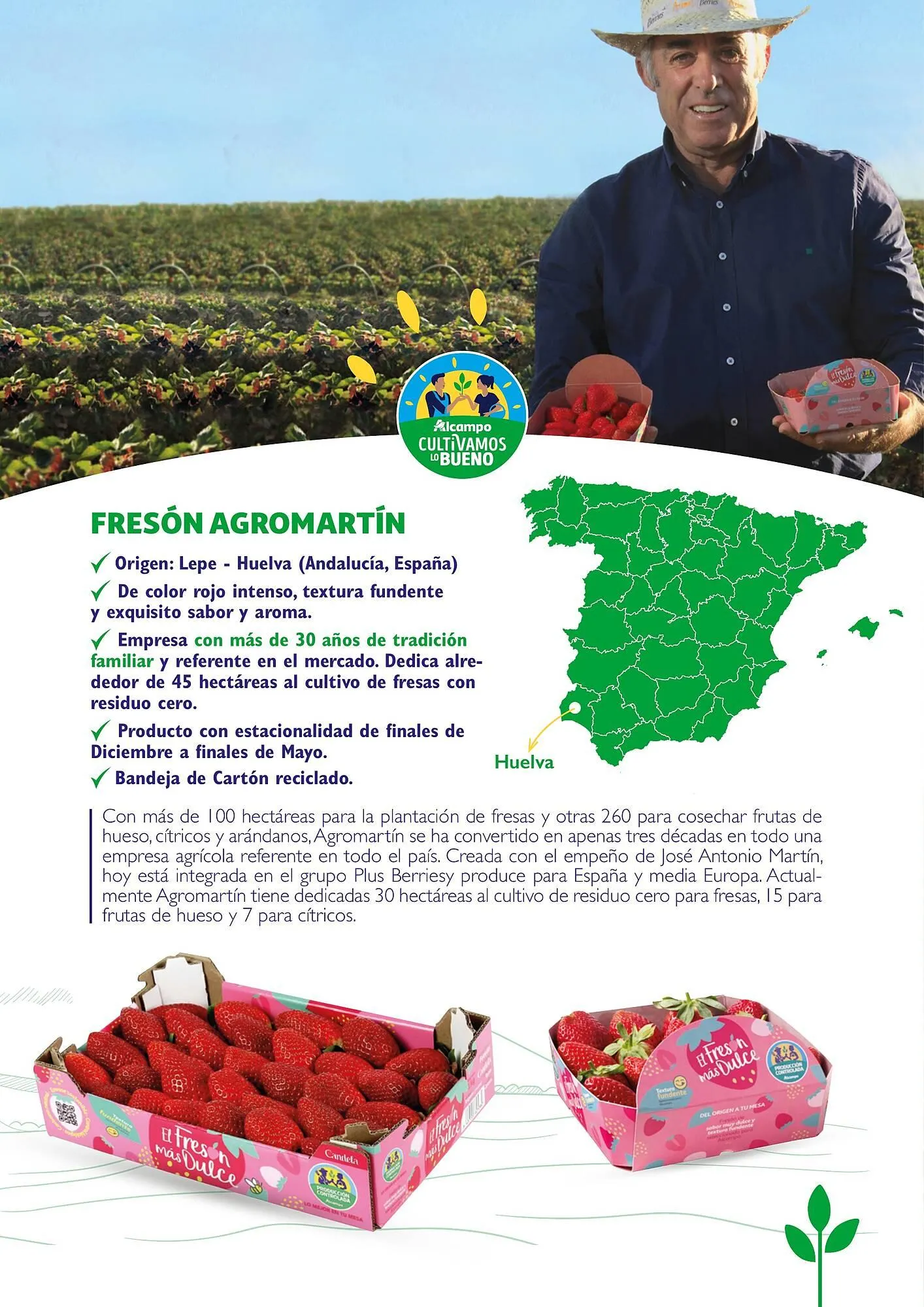 Catálogo de Folleto Alcampo 23 de abril al 31 de diciembre 2025 - Página 30