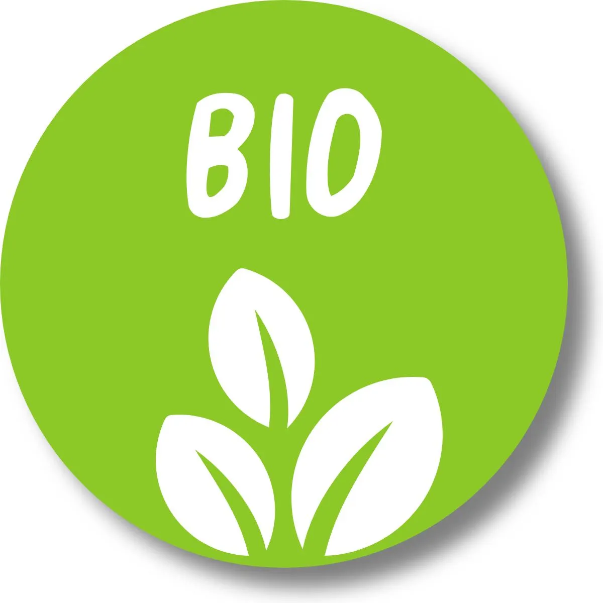 CHAMPÚ BIO ARGÁN 350ML