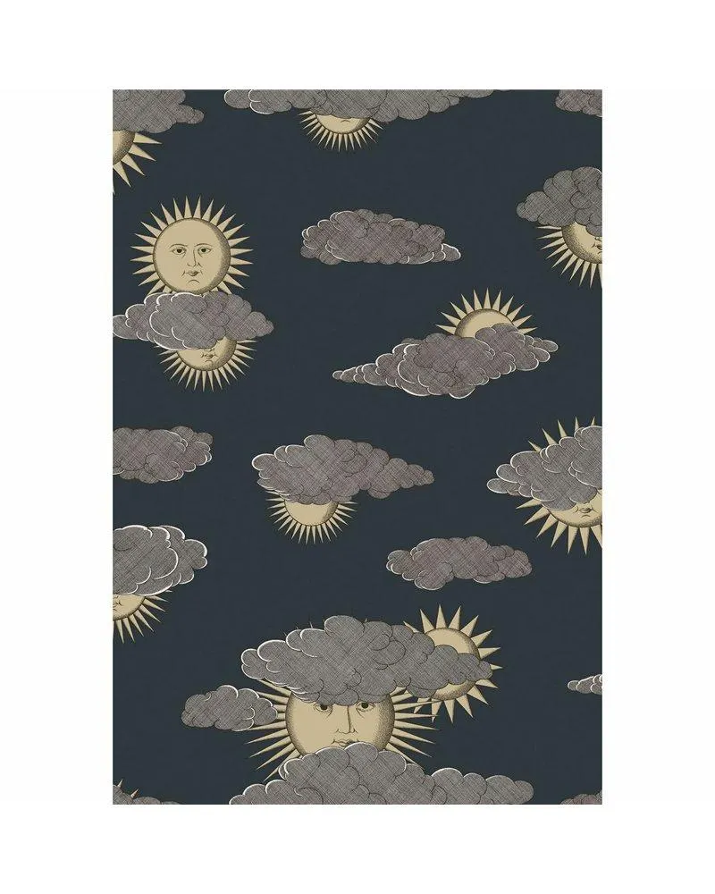 PAPEL PINTADO Soli E Nuvole Gold & Silver On Charcoal 123-2008