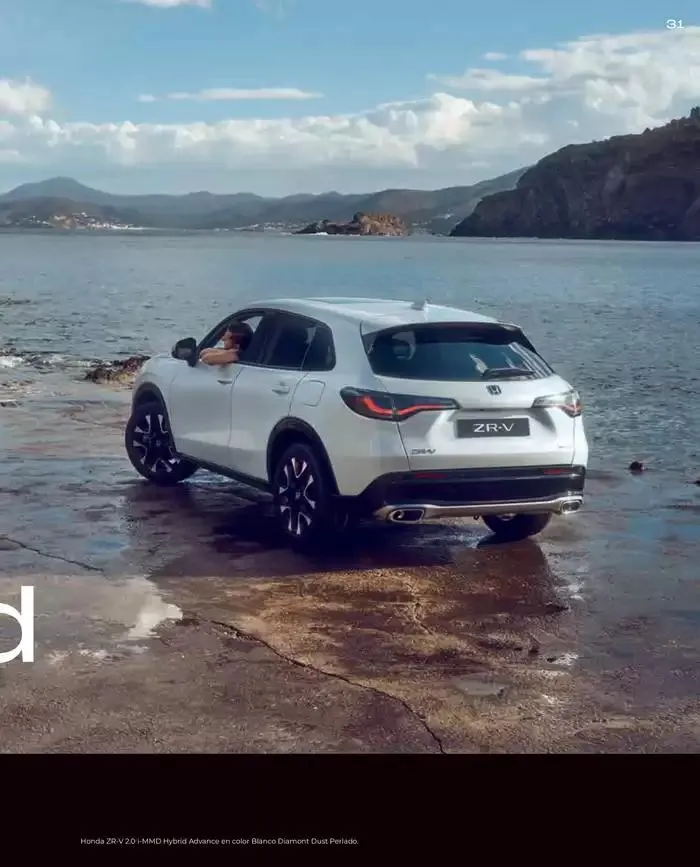 Catálogo de Catálogo ZR-V 6 de marzo al 30 de junio 2025 - Página 31