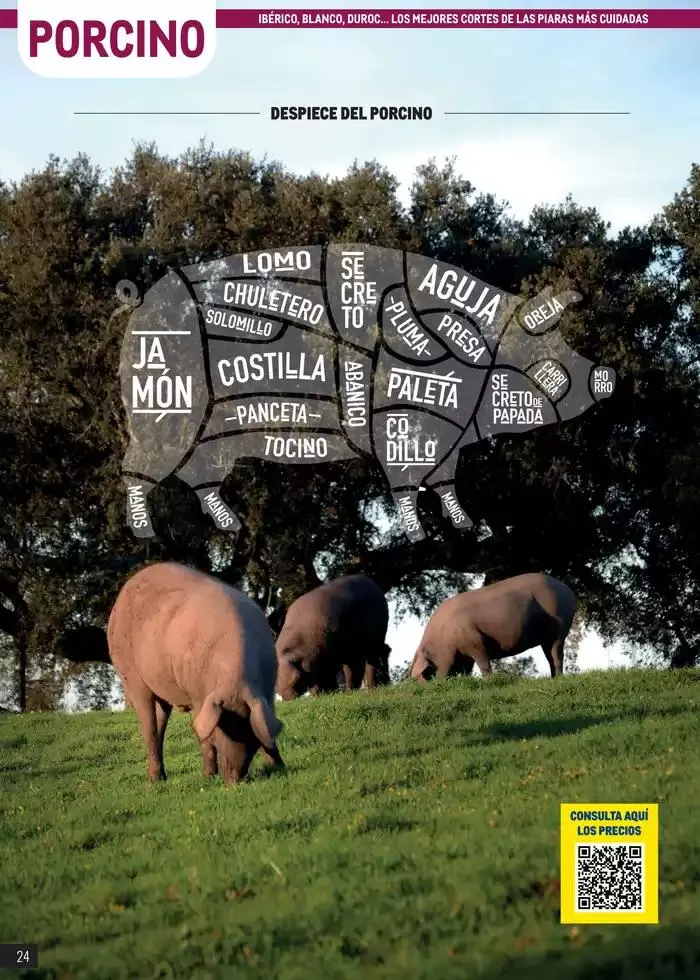 Catálogo de Especial Carnes Canarias 7 de abril al 4 de mayo 2025 - Página 24