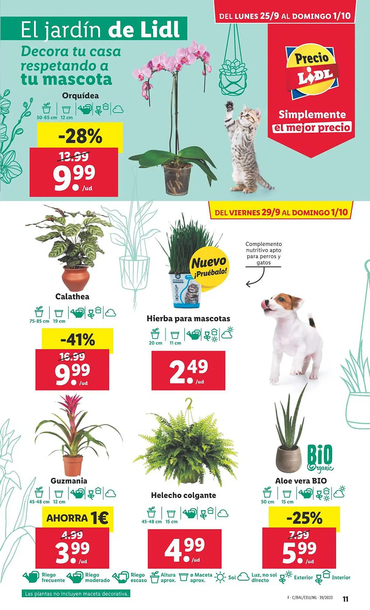 Catálogo de Folleto Lidl 25 de septiembre al 1 de octubre 2023 - Página 31