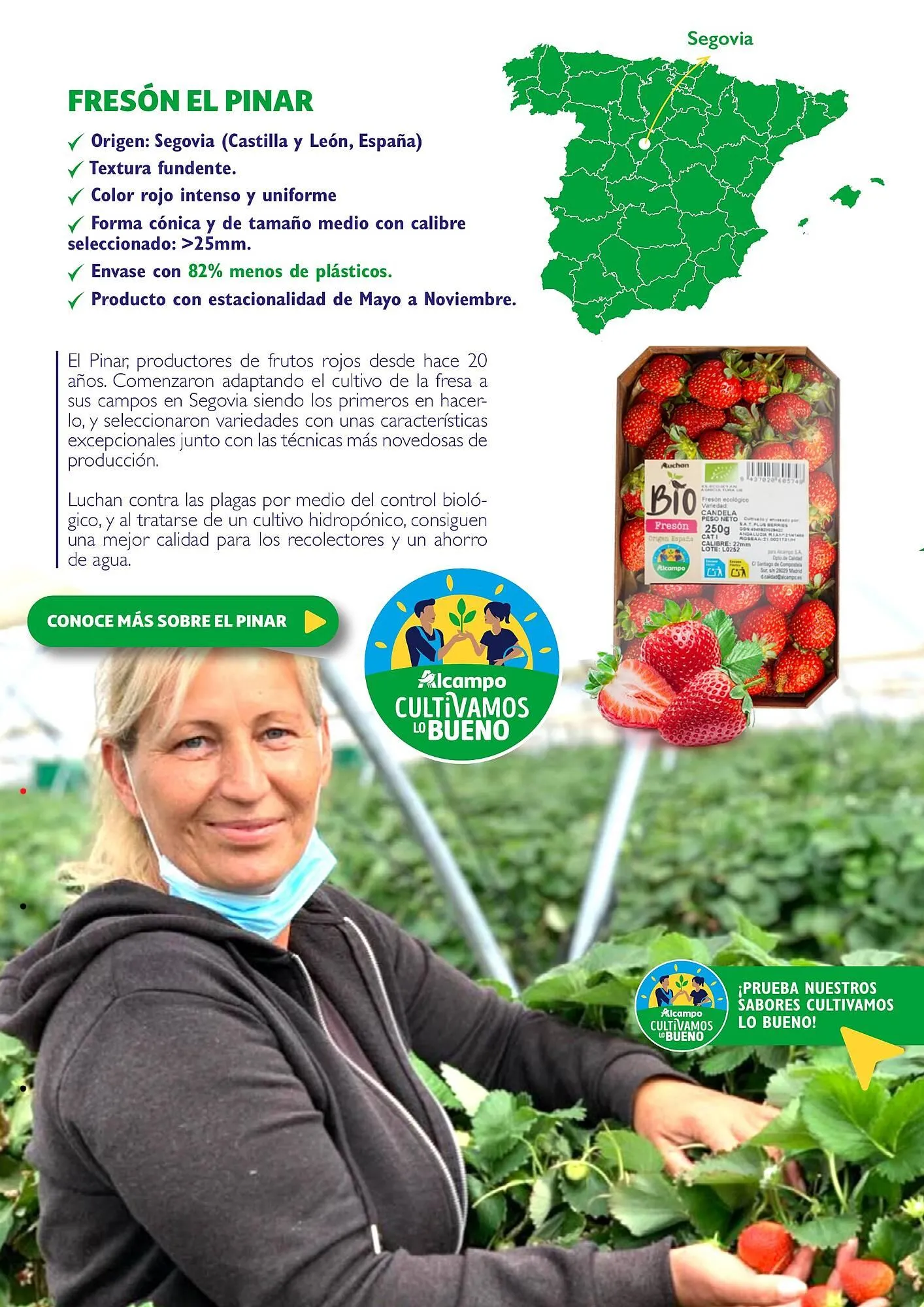 Catálogo de Folleto Alcampo 23 de abril al 31 de diciembre 2025 - Página 31