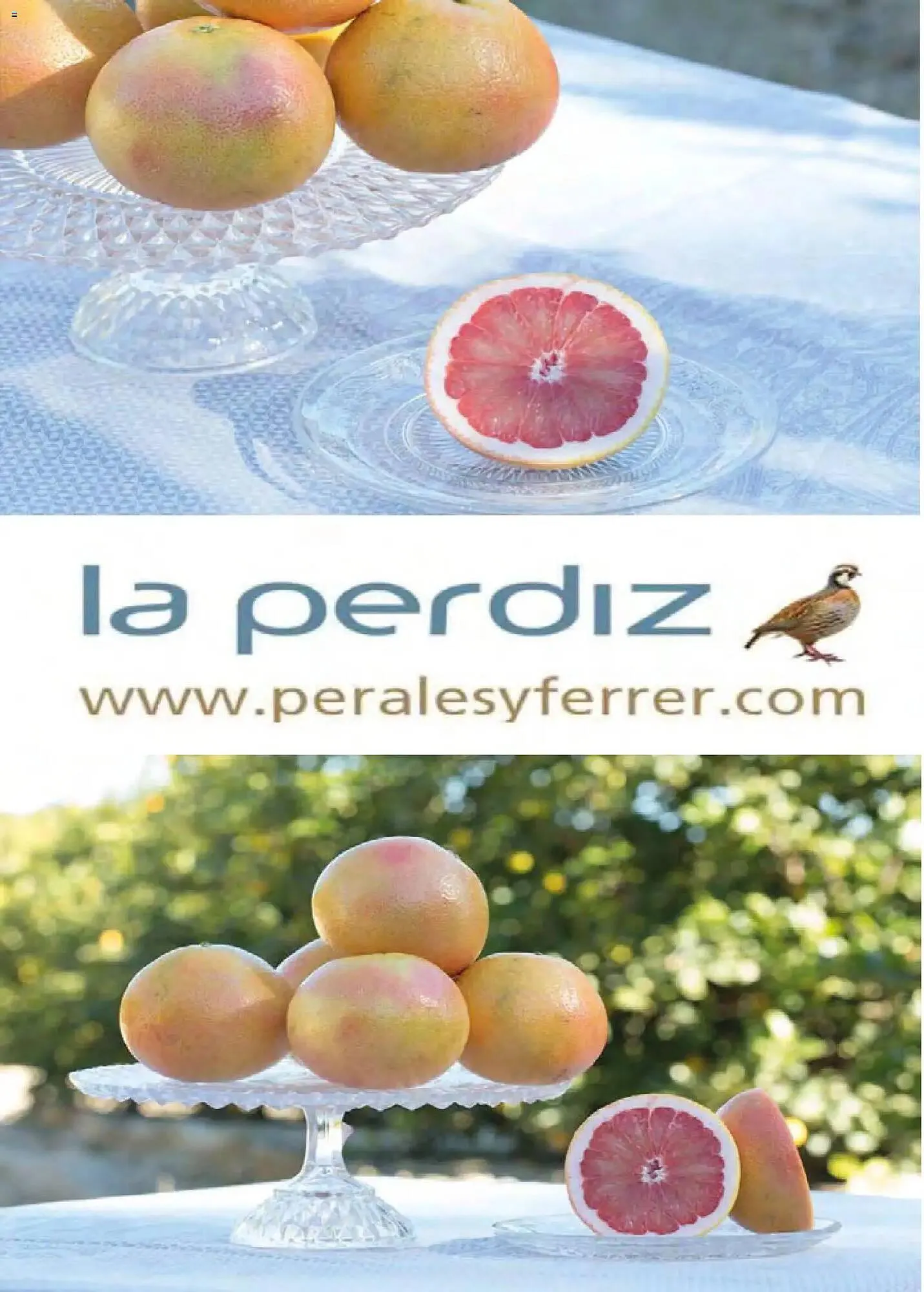 Catálogo de Catálogo Costco 19 de marzo al 31 de mayo 2026 - Página 147