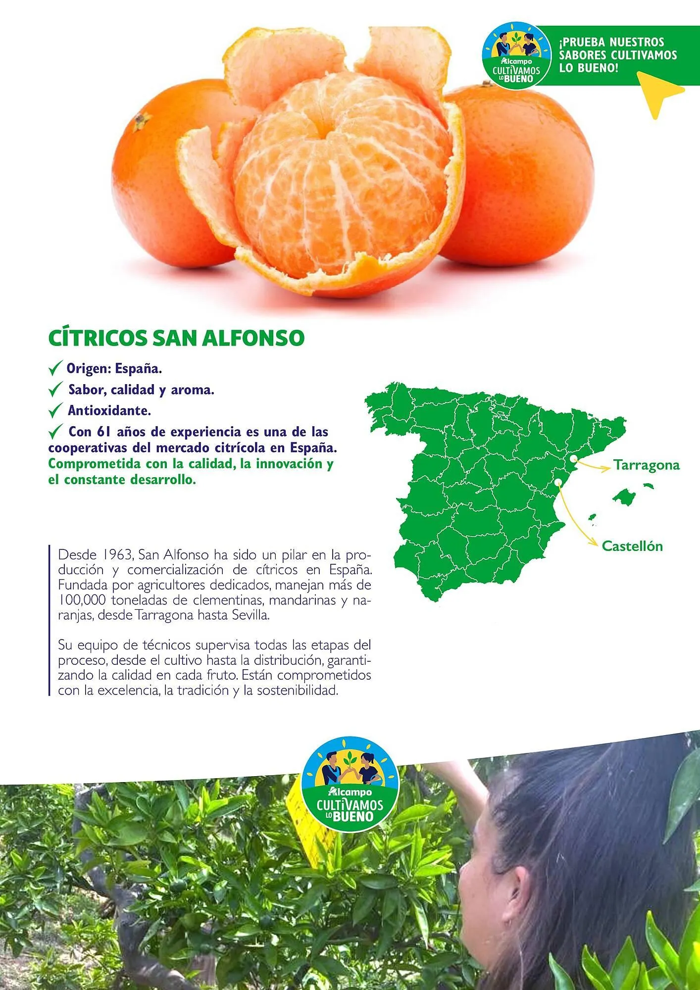 Catálogo de Folleto Alcampo 23 de abril al 31 de diciembre 2025 - Página 23