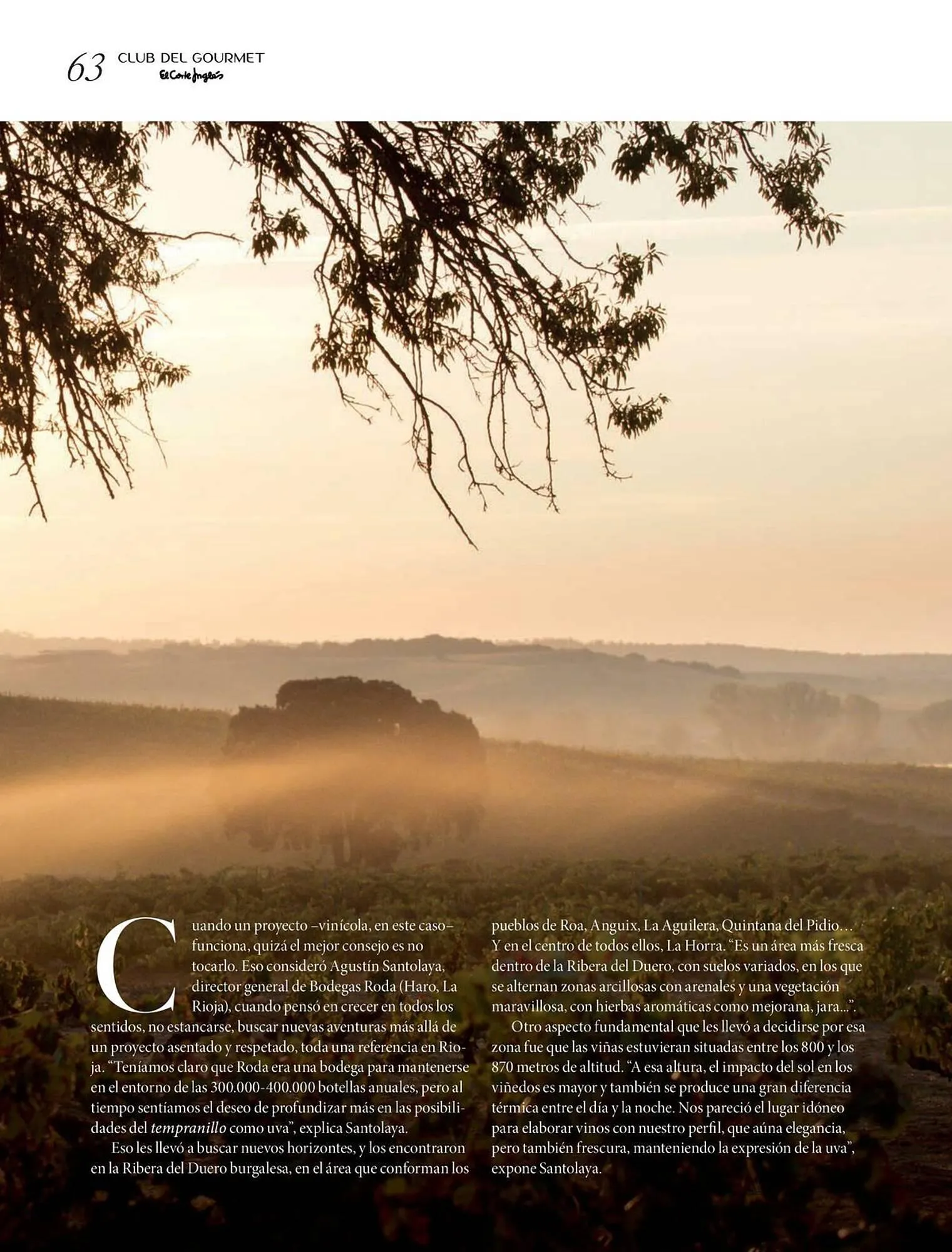 Catálogo de Catálogo El Corte Inglés 26 de septiembre al 30 de noviembre 2025 - Página 63