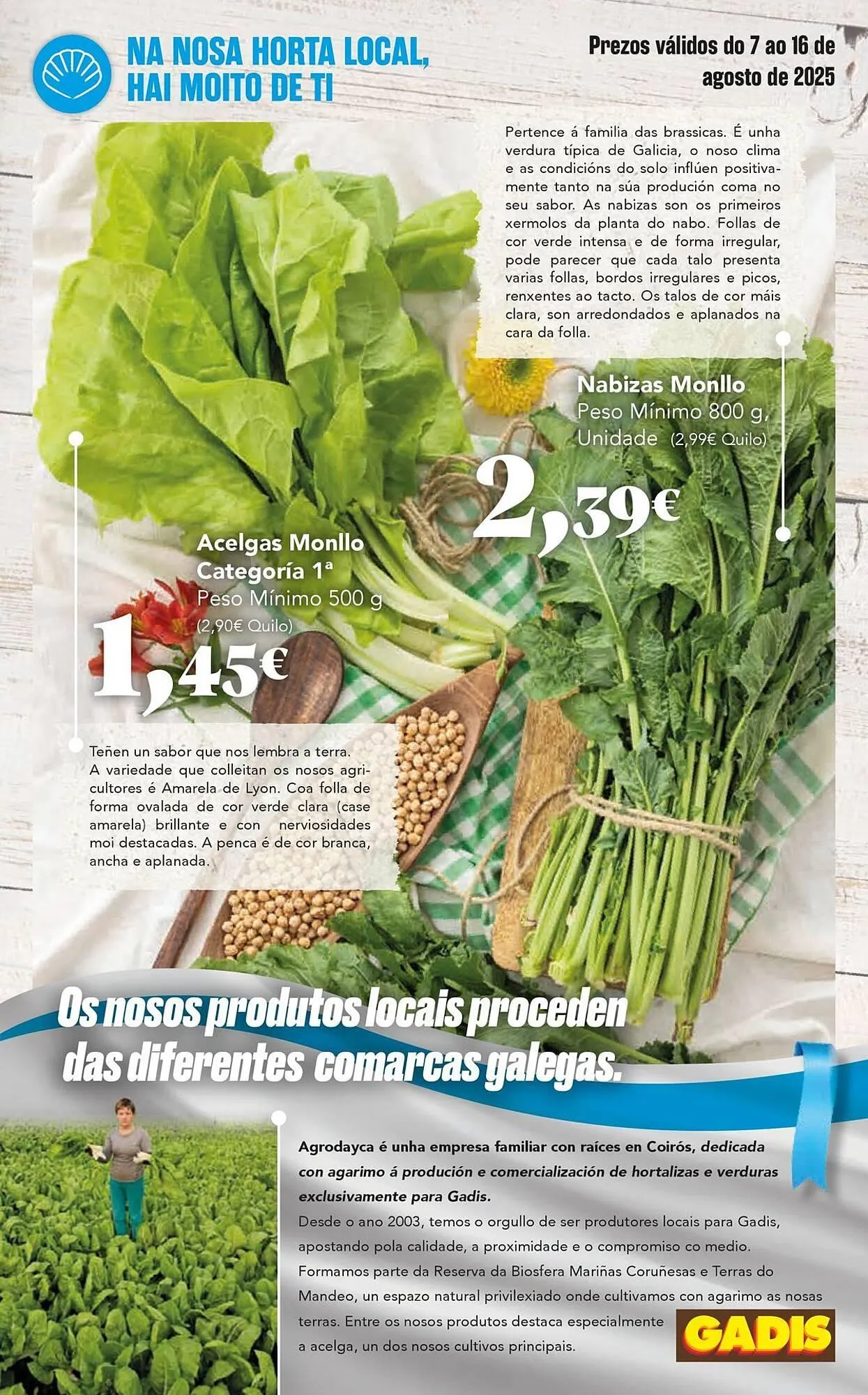 Catálogo de Folleto Gadis 7 de agosto al 16 de agosto 2025 - Página 3