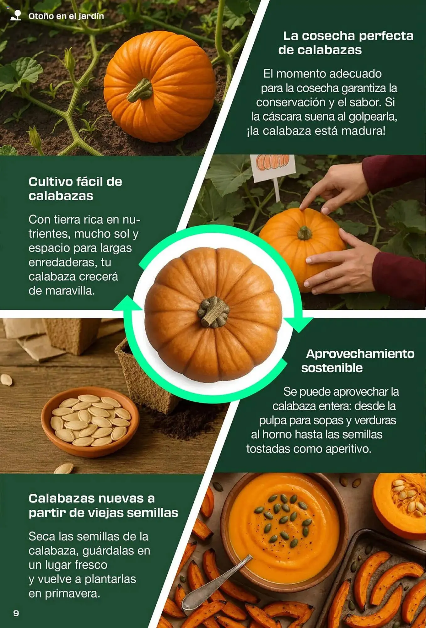 Catálogo de Folleto Lidl 1 de septiembre al 30 de noviembre 2025 - Página 9