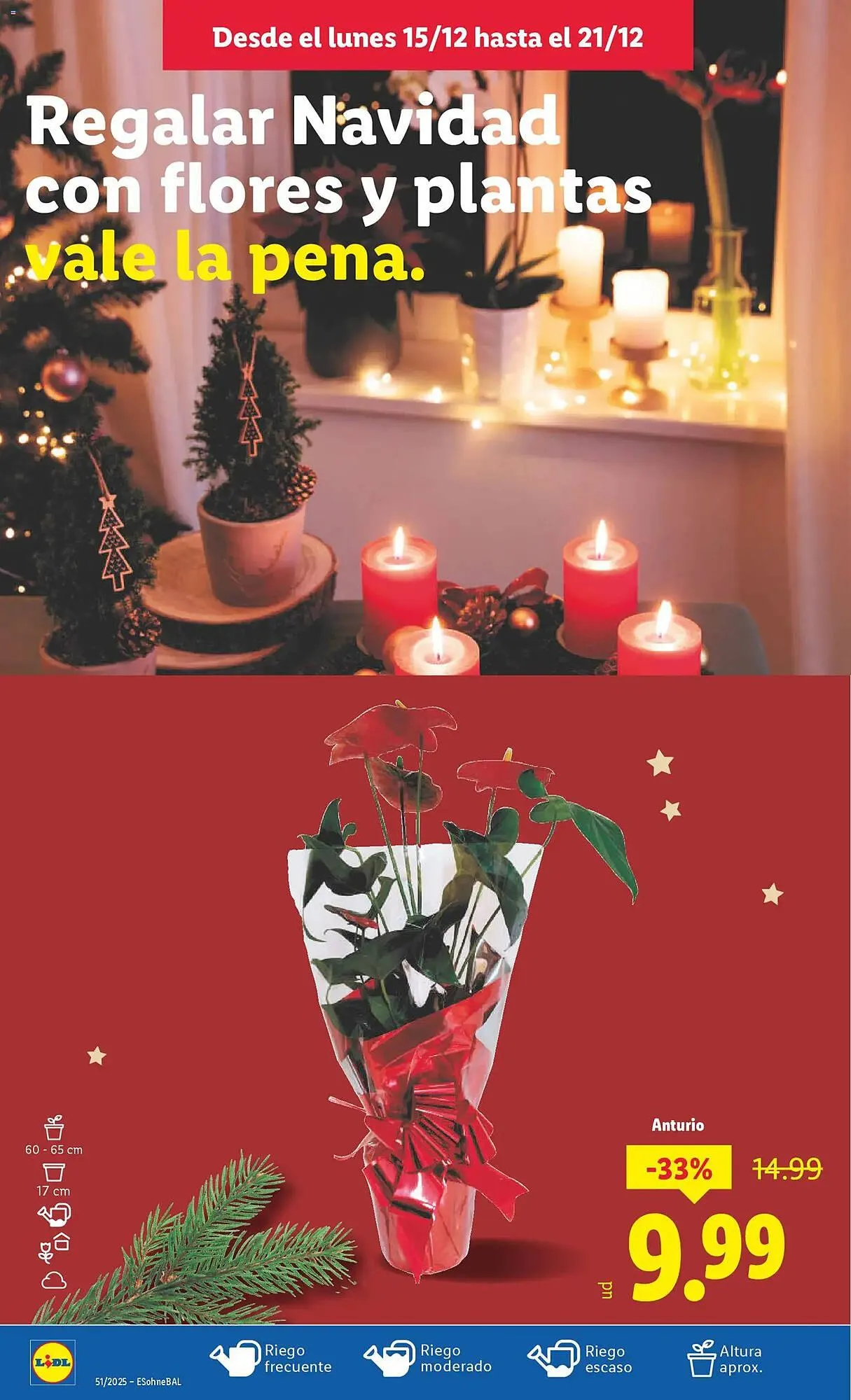 Catálogo de Catálogo Lidl 15 de diciembre al 21 de diciembre 2025 - Página 46