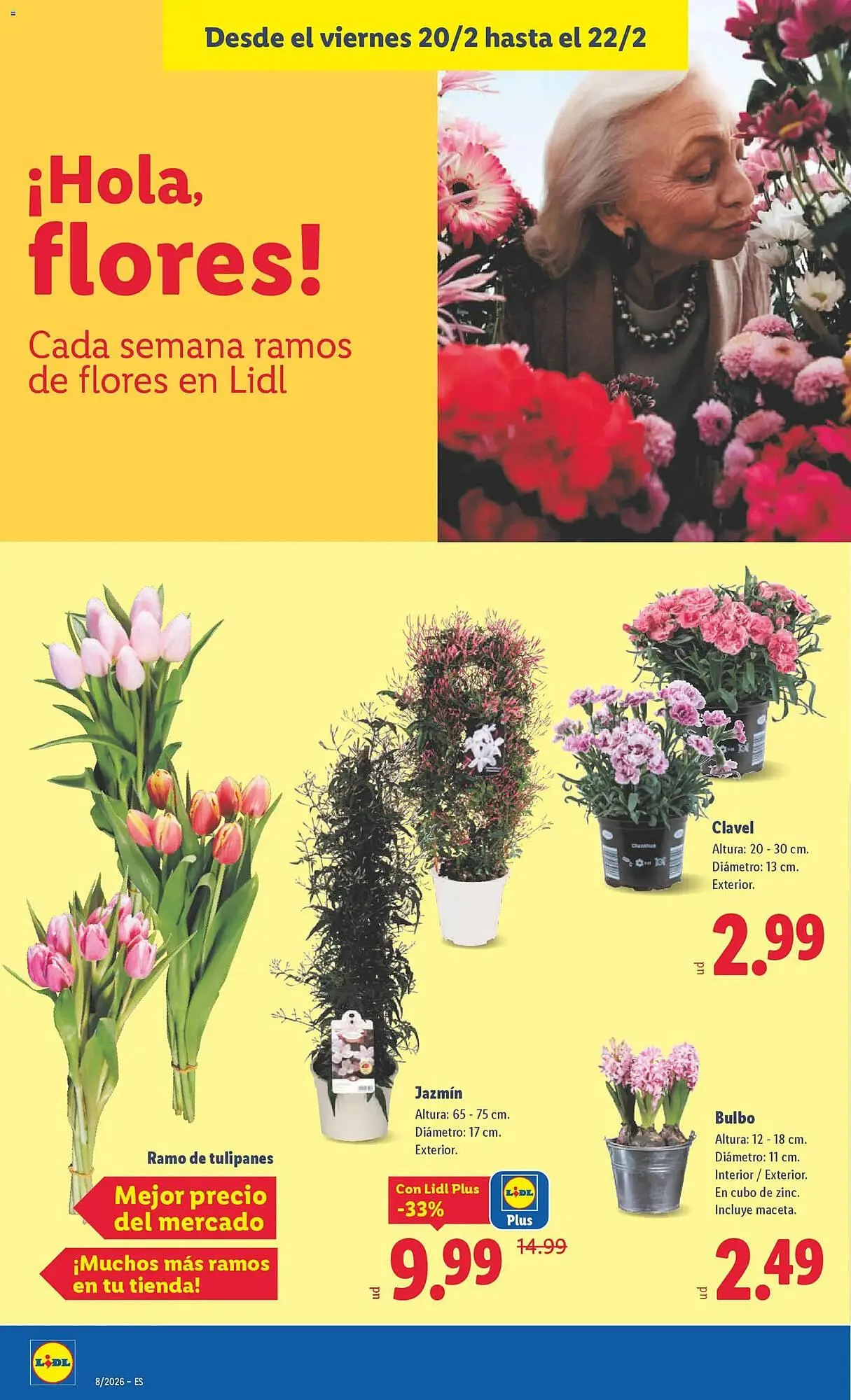 Catálogo de Catálogo Lidl 16 de febrero al 22 de febrero 2026 - Página 40