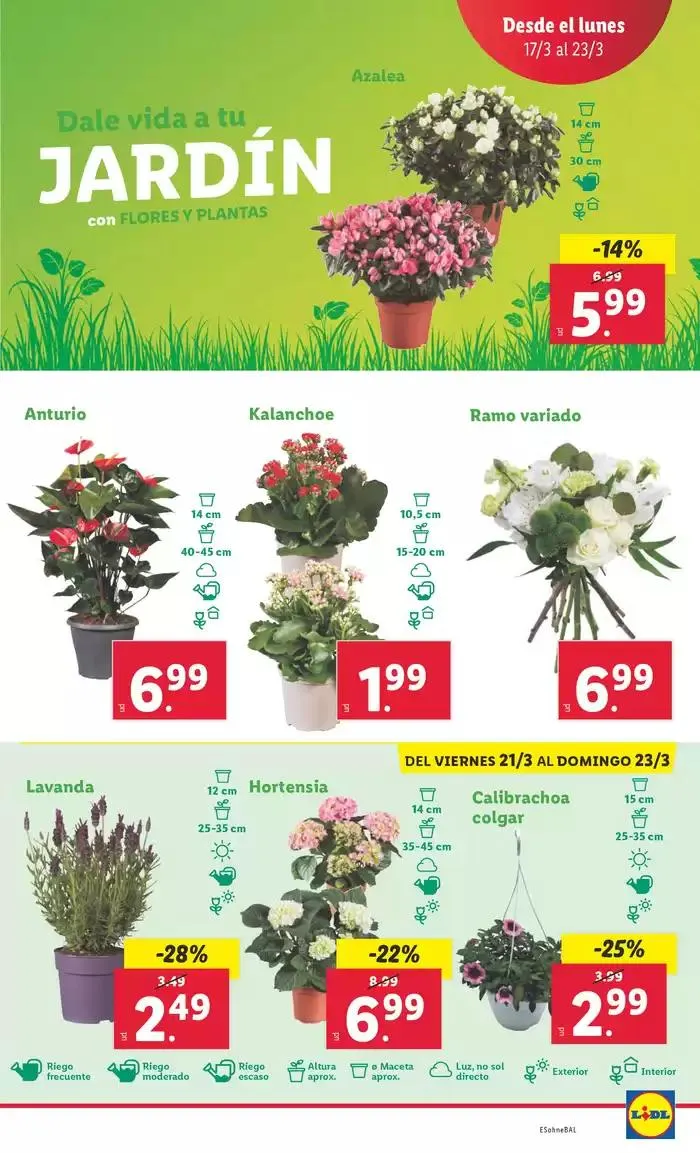 Catálogo de ¡Bazar Lidl! Ofertas válidas del 17/03 al 23/03 17 de marzo al 23 de marzo 2025 - Página 11