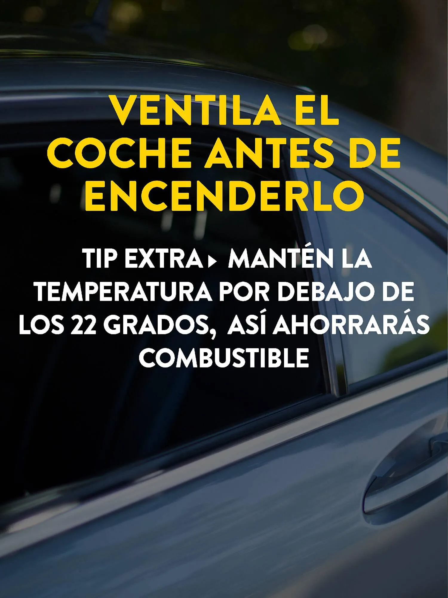 Catálogo de Folleto Rodi 14 de abril al 4 de mayo 2026 - Página 5