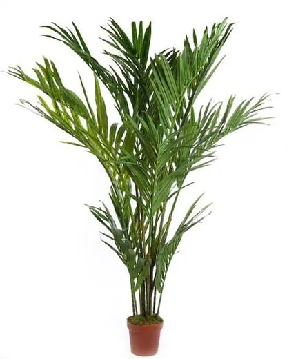 Palmera Areca artificial sin maceta