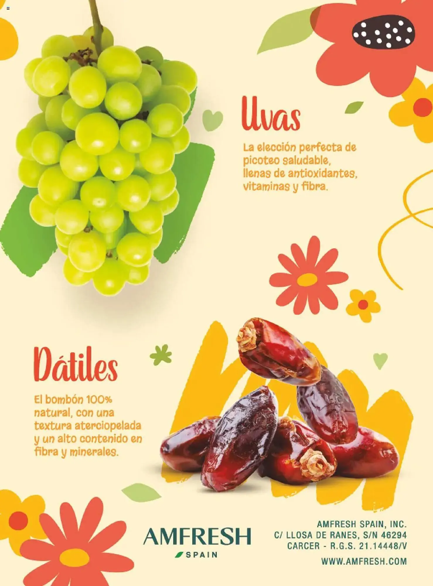 Catálogo de Folleto Costco 3 de julio al 31 de agosto 2025 - Página 105