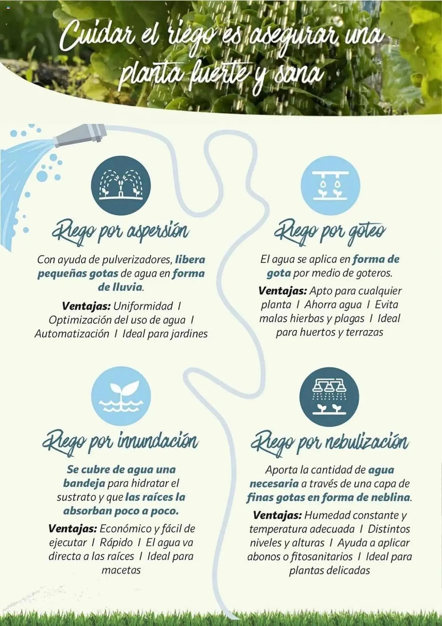 Catálogo de Folleto Alcampo 11 de febrero al 31 de diciembre 2025 - Página 7