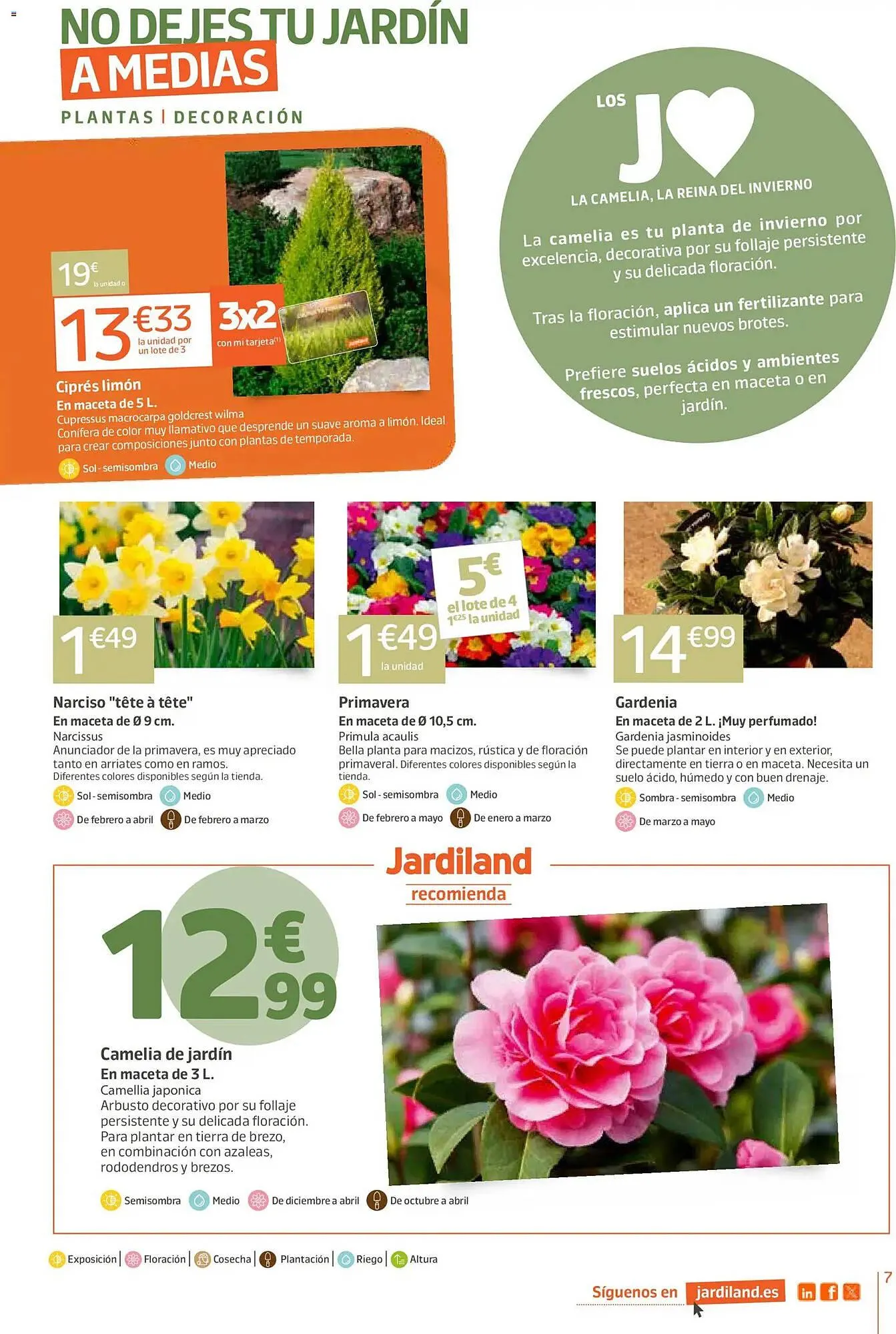 Catálogo de Catálogo Jardiland 5 de febrero al 16 de febrero 2026 - Página 7