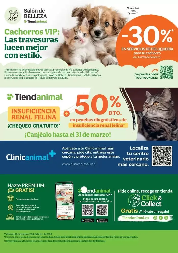 Catálogo de Descuentazos para consentir a tu amorcito 30 de enero al 27 de febrero 2025 - Página 16