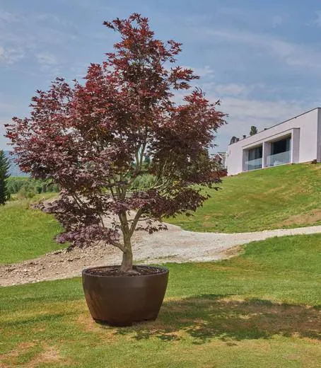 Jardinera resina redonda megalos 110x65 cm