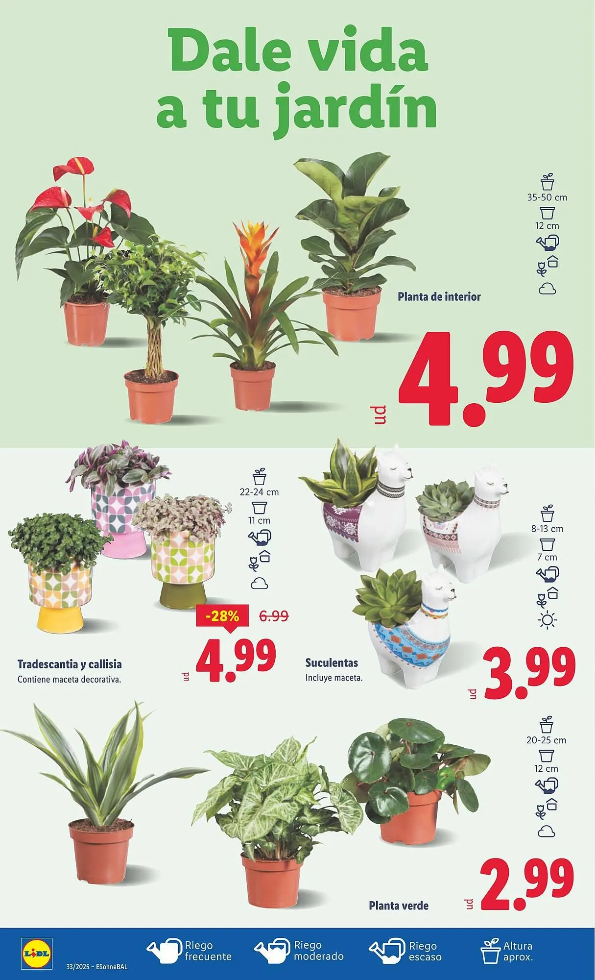 Catálogo de Folleto Lidl 11 de agosto al 17 de agosto 2025 - Página 32