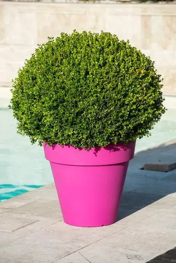 Maceta vaso de resina Pegasus 50x46 cm