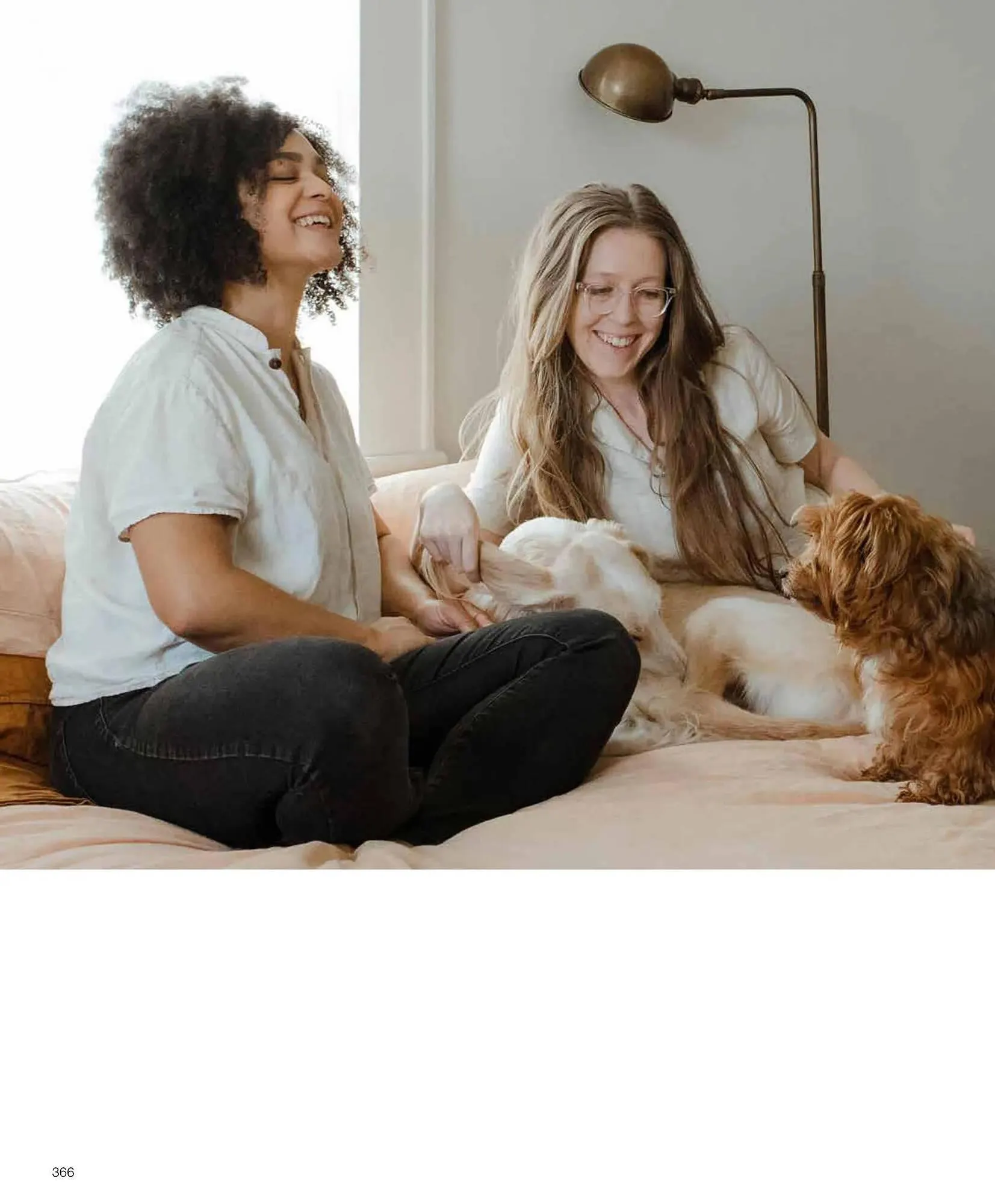 Catálogo de Folleto Grup Gamma 1 de febrero al 31 de diciembre 2023 - Página 365