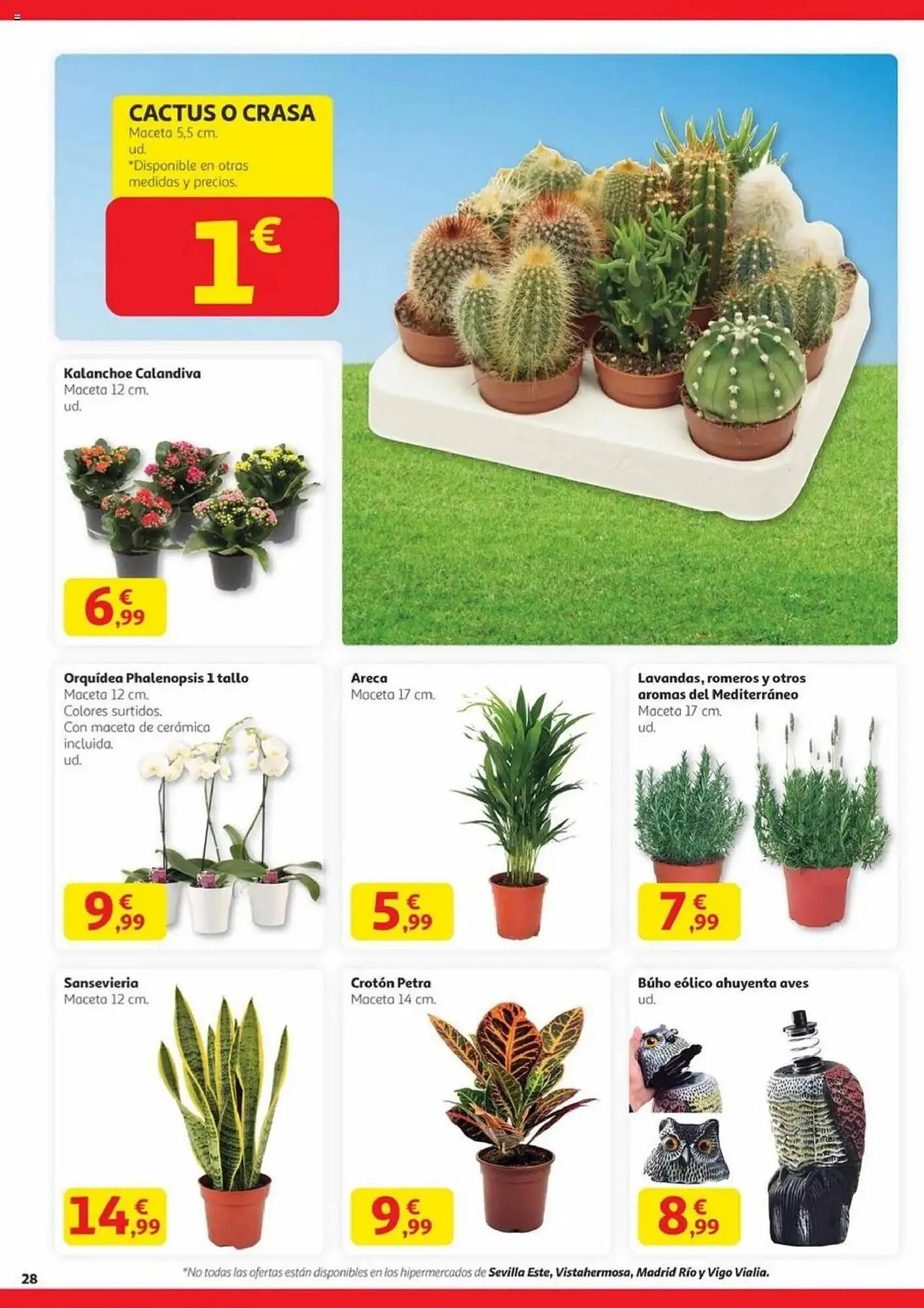 Catálogo de Folleto Alcampo 11 de septiembre al 24 de septiembre 2025 - Página 28