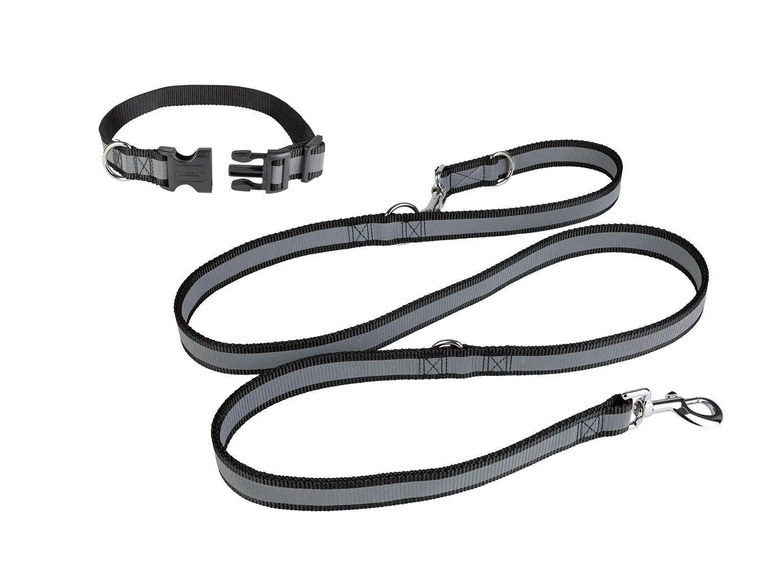 Correa para perro con collar